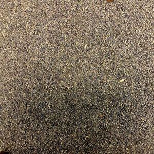 a picture of my school carpet